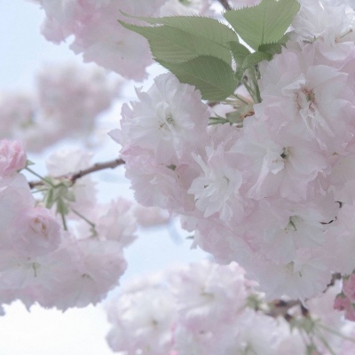 丰满FurryQQ群介绍